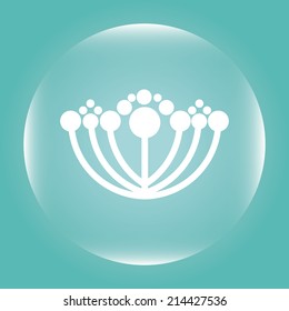 flowers design over  blue background vector illustration