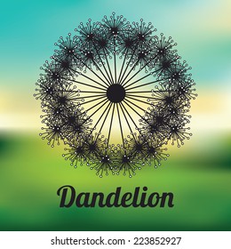 Flowers design over blur background, vector illustration