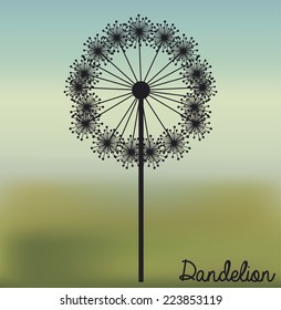 Flowers design over blur background, vector illustration