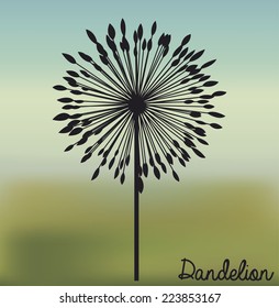 Flowers design over blur background, vector illustration