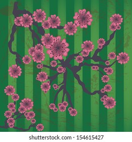 flowers design over lineal background vector illustration