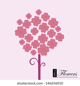 flowers design over pink background vector illustration