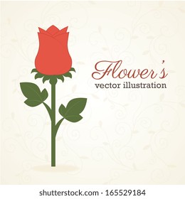 flowers design over pink background vector illustration 