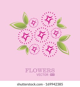 flowers design over pink background vector illustration  