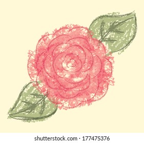 flowers design over pink background vector illustration  