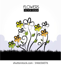 flowers design over white background vector illustration 