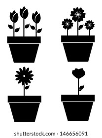 flowers design over white background vector illustration 