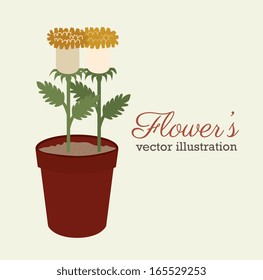 flowers design over white background vector illustration 