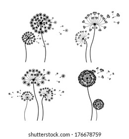 diseño de flores sobre ilustración vectorial de fondo blanco  