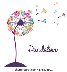 flowers design over white background vector illustration  