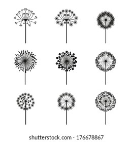 Dandelion Set Doodle Hand Drawn Dandelions Stock Vector (Royalty Free ...