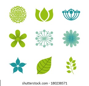 flowers design over  white  background vector illustration  