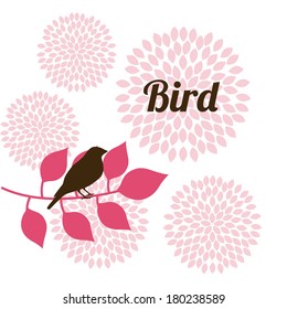flowers design over white   background vector illustration  