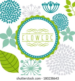flowers design over white   background vector illustration  