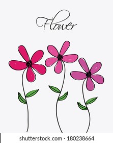 flowers design over white   background vector illustration  
