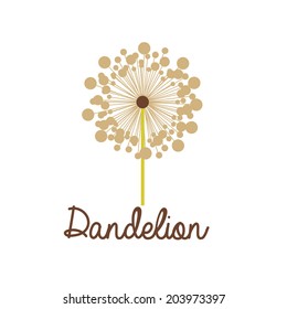 Flowers design over white background, vector illustration