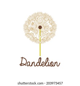 Flowers design over white background, vector illustration