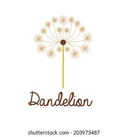 Flowers design over white background, vector illustration