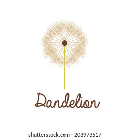 Flowers design over white background, vector illustration