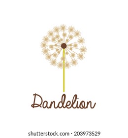Flowers design over white background, vector illustration