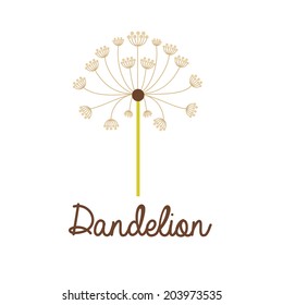 Flowers design over white background, vector illustration