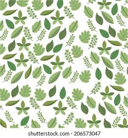 flowers design over white background vector illustration