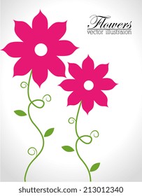 Flowers design over white background, vector illustration