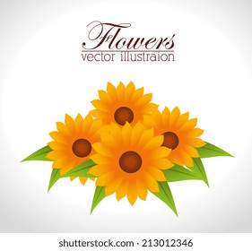 Flowers design over white background, vector illustration