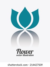 flowers design over white background vector illustration