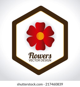Flowers design over white background, vector illustration