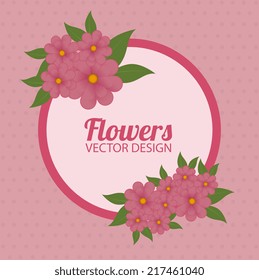 Flowers design over white background, vector illustration