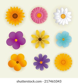 Flowers design over white background, vector illustration