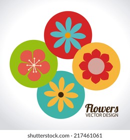 Flowers design over white background, vector illustration