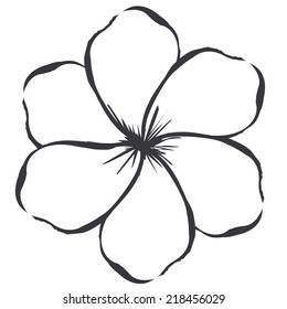 Flowers design over white background, vector illustration