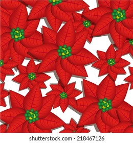 Flowers design over white background, vector illustration