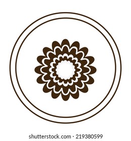 Flowers design over white background, vector illustration