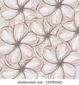 Flowers design over white background, vector illustration