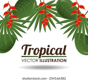Flowers design over white background, vector illustration.