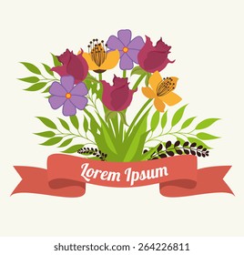 Flowers design over white background, vector illustration.