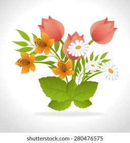 Flowers design over white background, vector illustration.