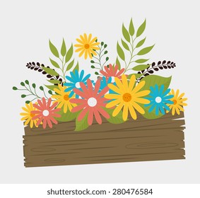Flowers design over white background, vector illustration.