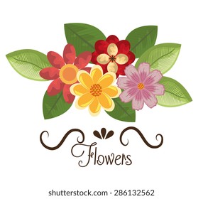 Flowers design over white background, vector illustration.