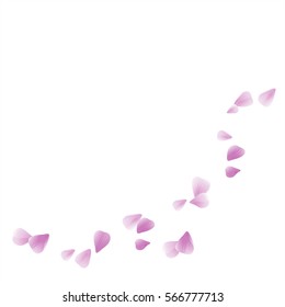 Flowers design. Flowers petals. Abstract background with flying pink, purple rose petals. Vector illustration isolated on white background. EPS. 10