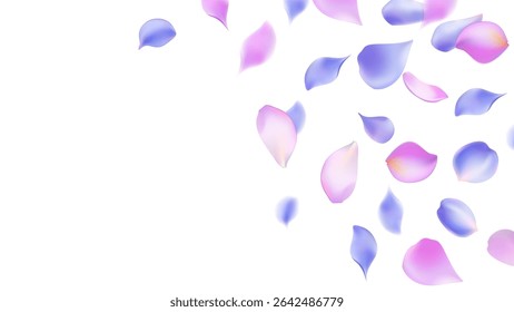 Flowers design Flowers petals Petals Purple Roses Flowers Sakura flying petals isolated on background