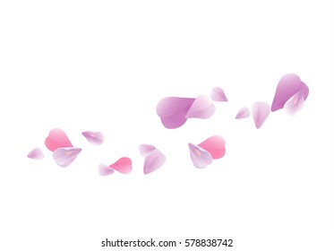 Flowers design. Flowers petals. Petals Purple Roses Flowers. Sakura flying petals isolated on white background. Vector.