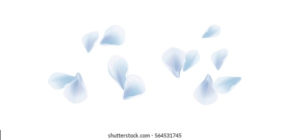 Flowers design. Flowers petals. Petals Roses Flowers. Sakura flying petals isolated on white background. Vector