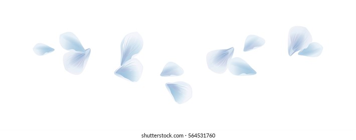 Flowers design. Flowers petals. Petals Roses Flowers. Sakura flying petals isolated on white background. Vector