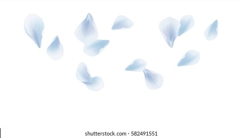 Flowers design. Flowers petals. Petals Roses Flowers. Sakura flying petals isolated on white background. Vector.