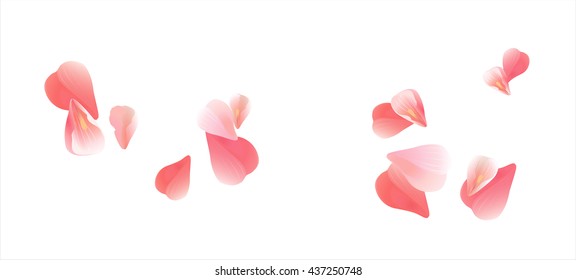 Flowers design. Flowers petals. Sakura flying Pink petals isolated on white background. Petals Roses Flowers. Vector