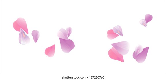 Flowers design. Flowers petals. Sakura flying Violet petals isolated on white background. Petals Roses Flowers. Vector